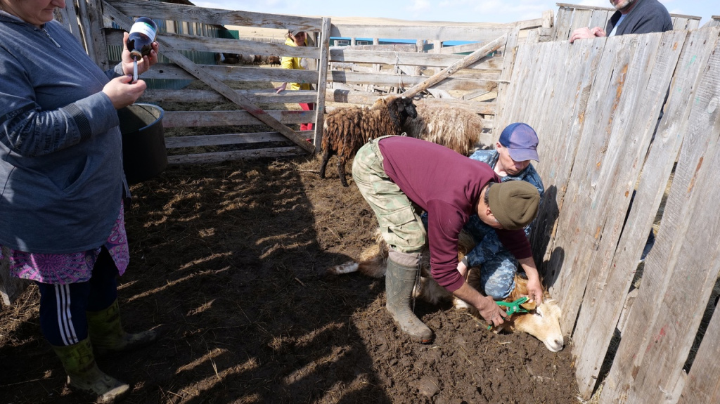 Фото #ЛилияЦыганкова