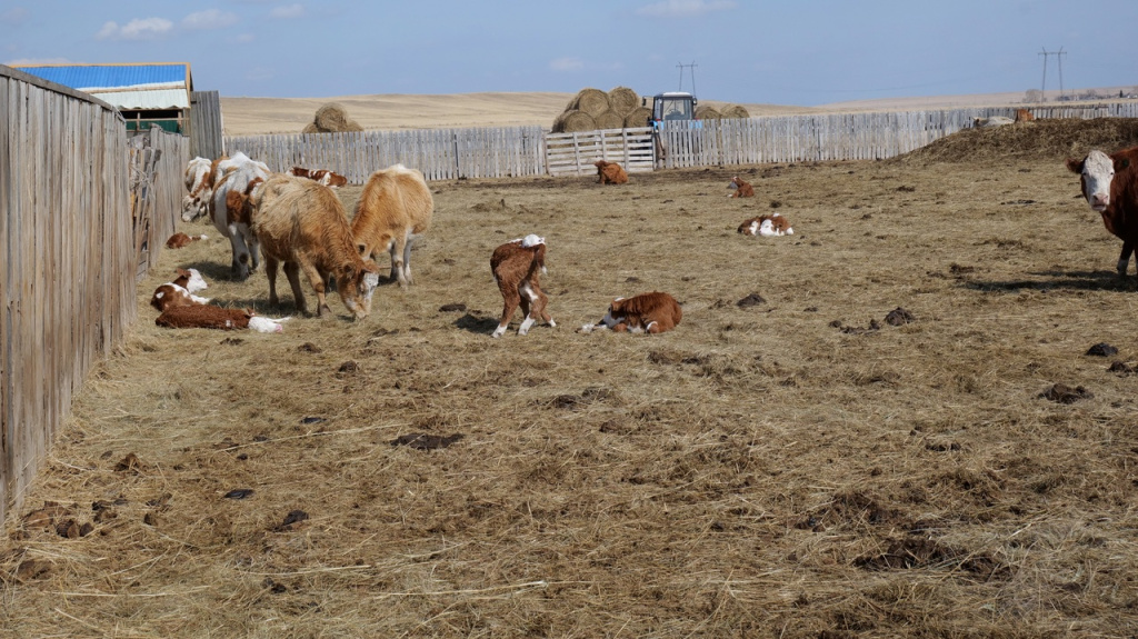 Фото #ЛилияЦыганкова