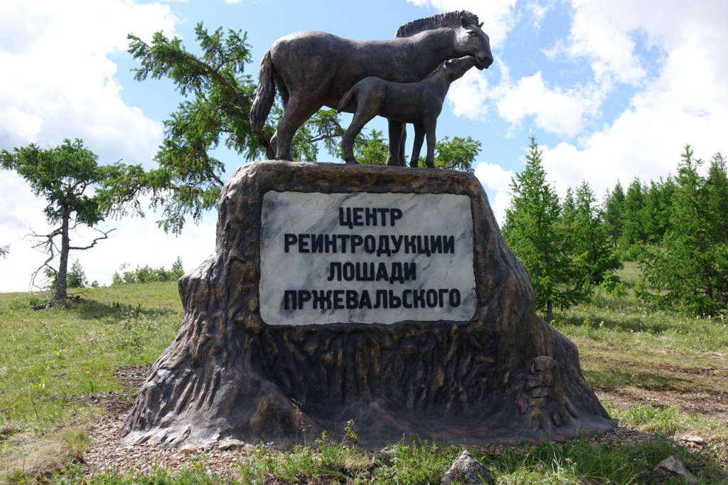 Фото предоставлено пресс-службой заповедника «Хакасский»