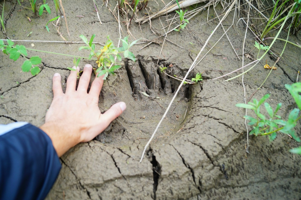 Фото из личного архива