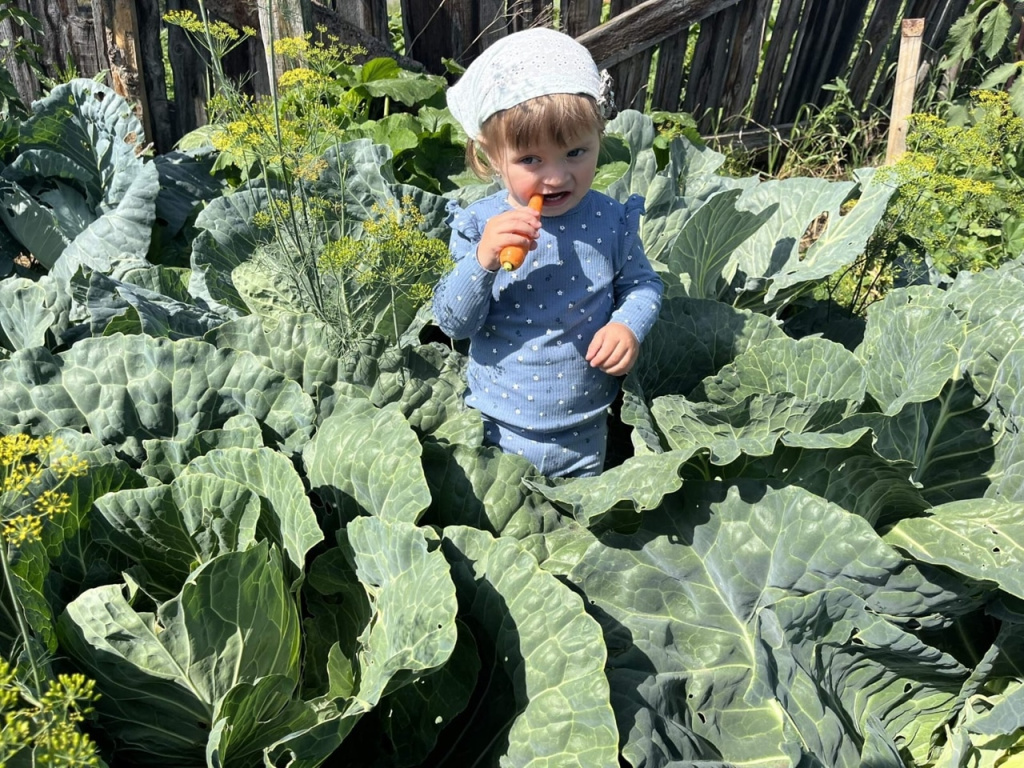 Фотографии участников конкурса