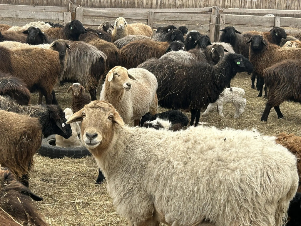 Фото #ЛилияЦыганкова