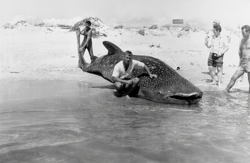 Фото из личных архивов