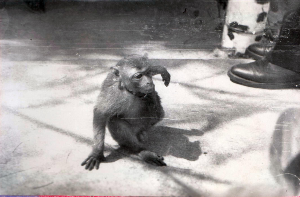 Фото из личного архива