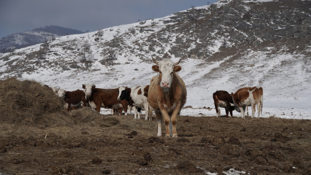 Фото #ЛилияЦыганкова