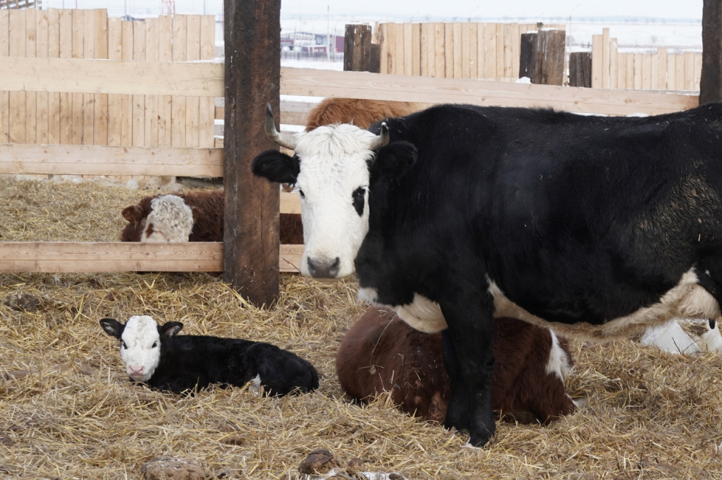 Фото #ЛилияЦыганкова