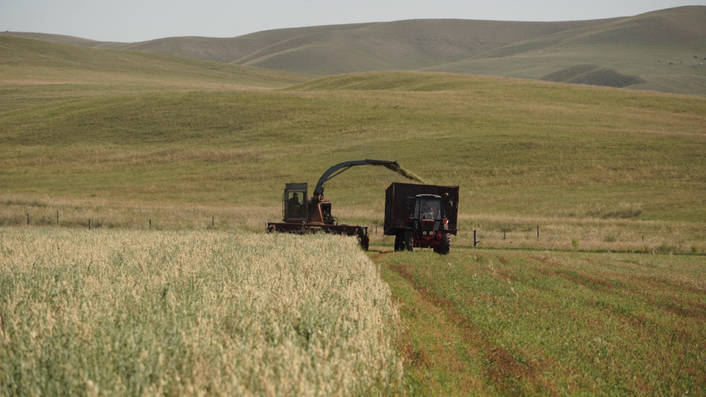 Фото автора, сельхозуправления и из личного архива фермеров